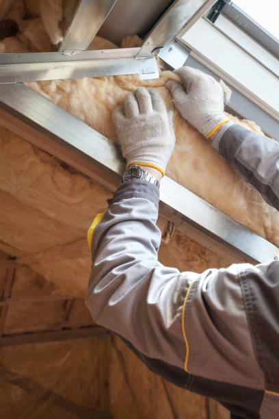 Best Insulation Installation Services in Grayson, KY